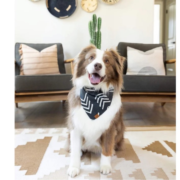 The Foggy Dog neck bandanna NWT - Picture 2 of 7